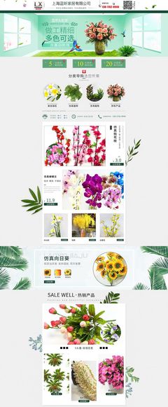 花卉 大自然的迷人饋贈